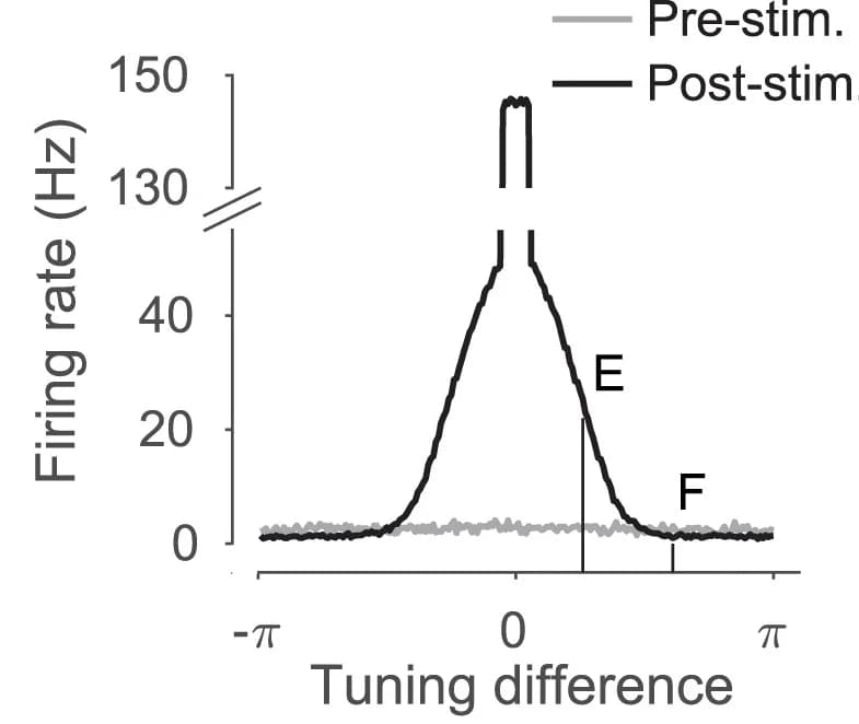 Open access visualization of Line Plot, Stimulation, Firing, Inhibitory Inputs, Excitatory Inputs