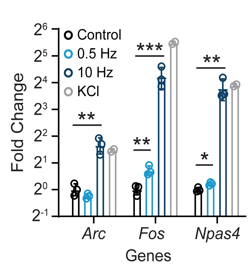 Open access visualization of Bar Plot, Error Bars, Gene Expression, Immediate Early Genes, Light Stimulation