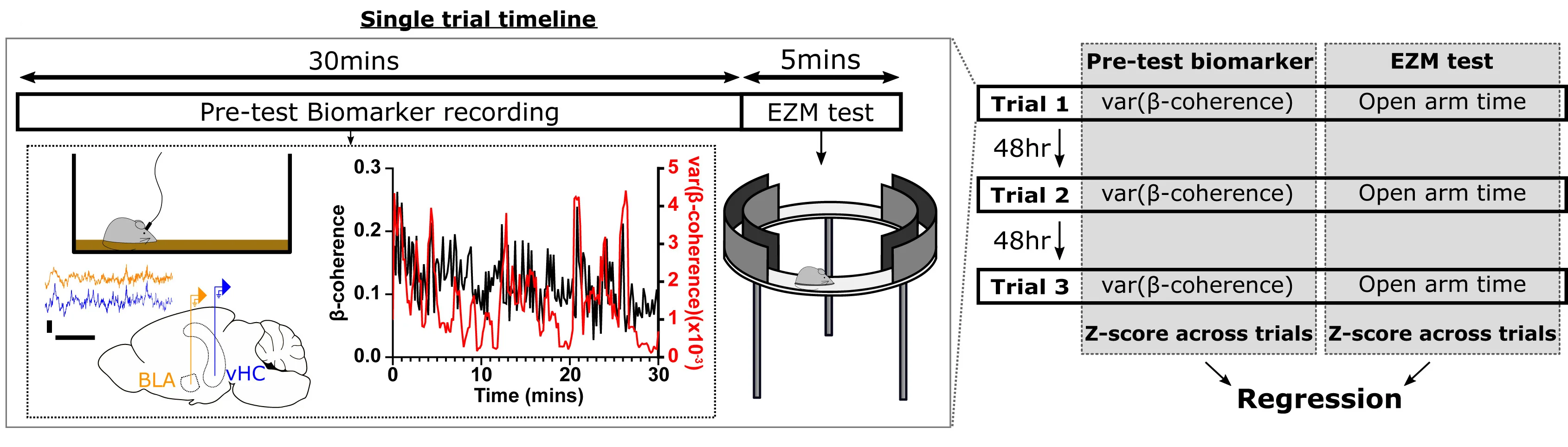 Open access visualization of Line Plot, Workflow, Illustration, Experimental Design, LFP Recordings