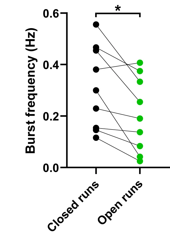 Open access visualization of Scatter Plot, vHC-BLA Coherence, Burst Frequency, Closed Runs, Open Runs