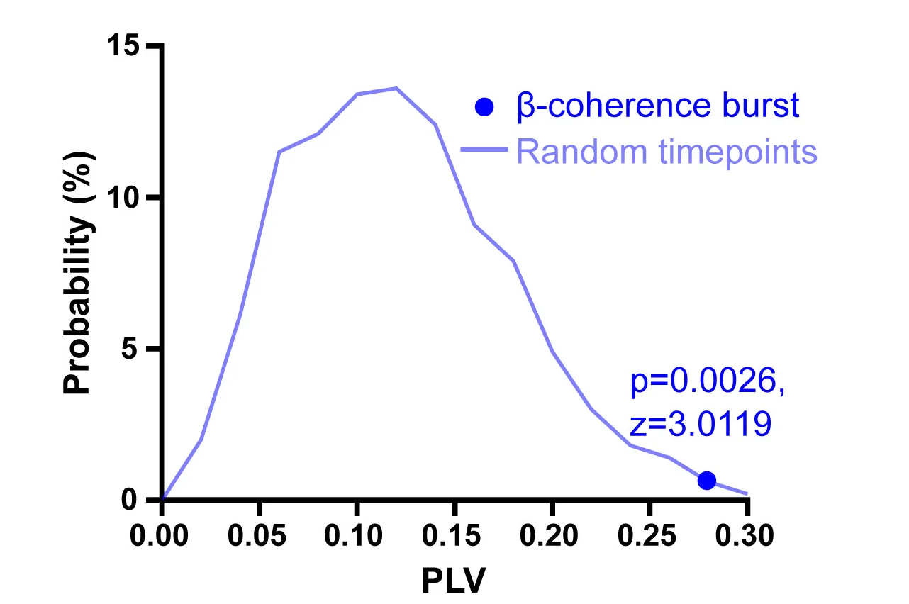 Open access visualization of Line Plot, Scatter Plot, Phase-Locking Values, BLA, vHC-SST+