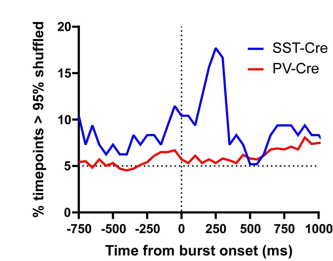 Open access visualization of Line Plot, SST+, PV+, mNeon, Correlation Values