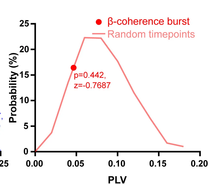 Open access visualization of Line Plot, Beta-Frequency, Phase-Locking Values, BLA-PV+ Neuron mNeon Signals, vHC LFPs