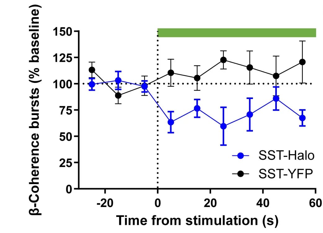 Open access visualization of Line Plot, Error Bars, BLA, SST+ Interneurons, Beta-Coherence Bursts