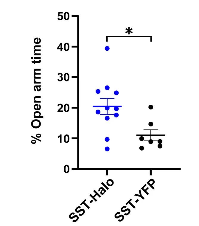 Open access visualization of Scatter Plot, Error Bars, Homecage, BLA-SST+ Inhibition, EZM Open-Arm Exploration