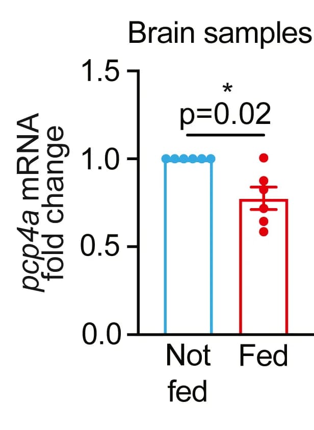 Open access visualization of Bar Plot, Error Bars, Scatter Plot, Bar Graph, Fold Change