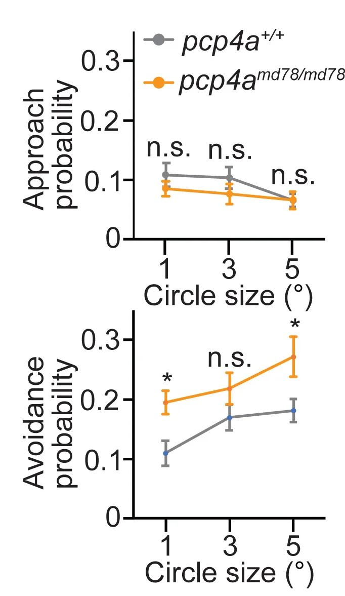 Open access visualization of Line Plot, Error Bars, Approach Probability, Avoidance Probability, Visual Stimuli