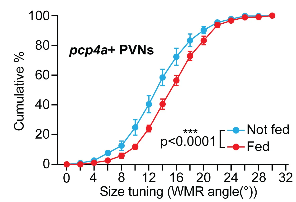 Open access visualization of Line Plot, Error Bars, Graph, WMR Angles, Zebrafish Larvae