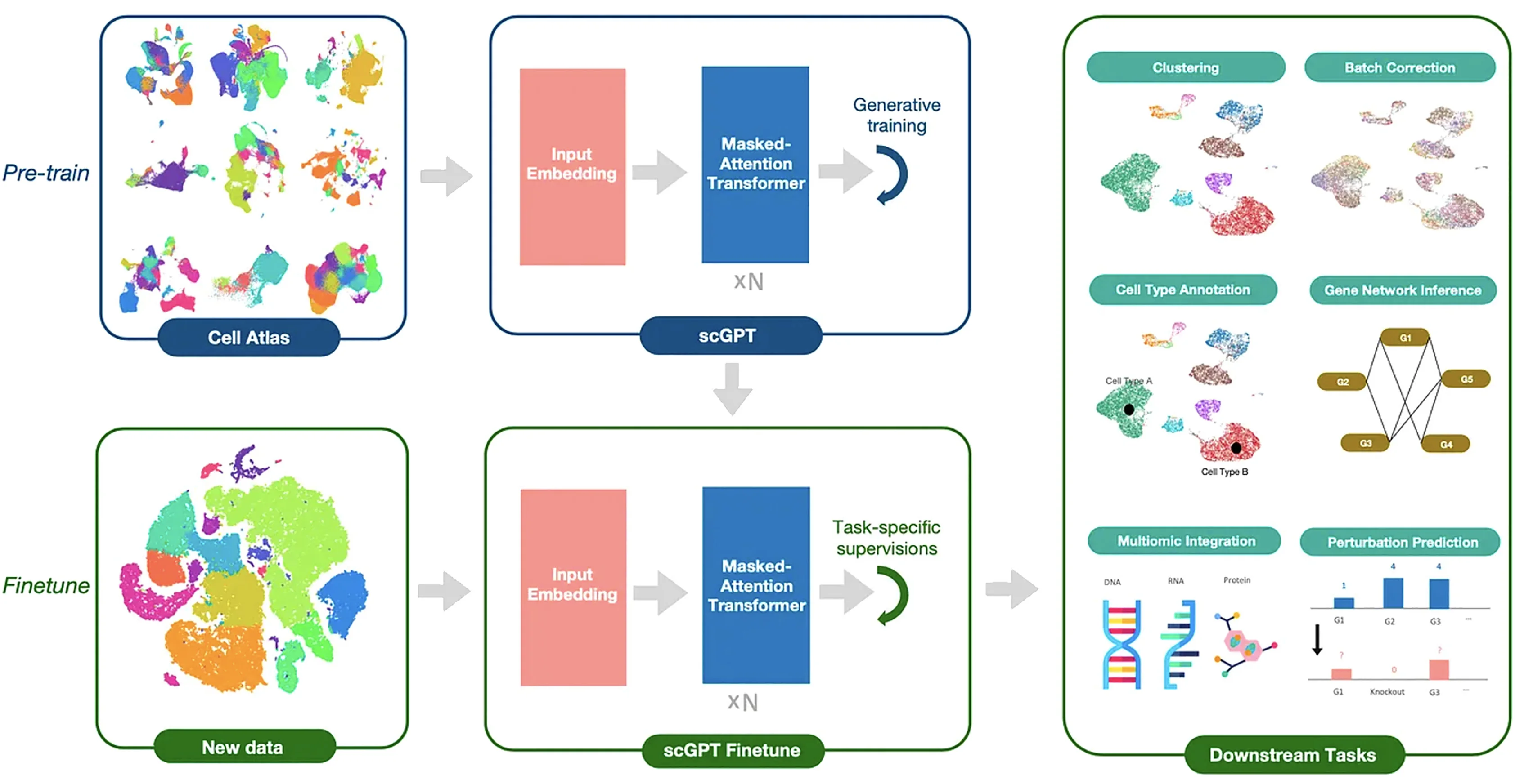 Open access visualization of Workflow, Flowchart, Scatter Plot, Network, Bar Plot