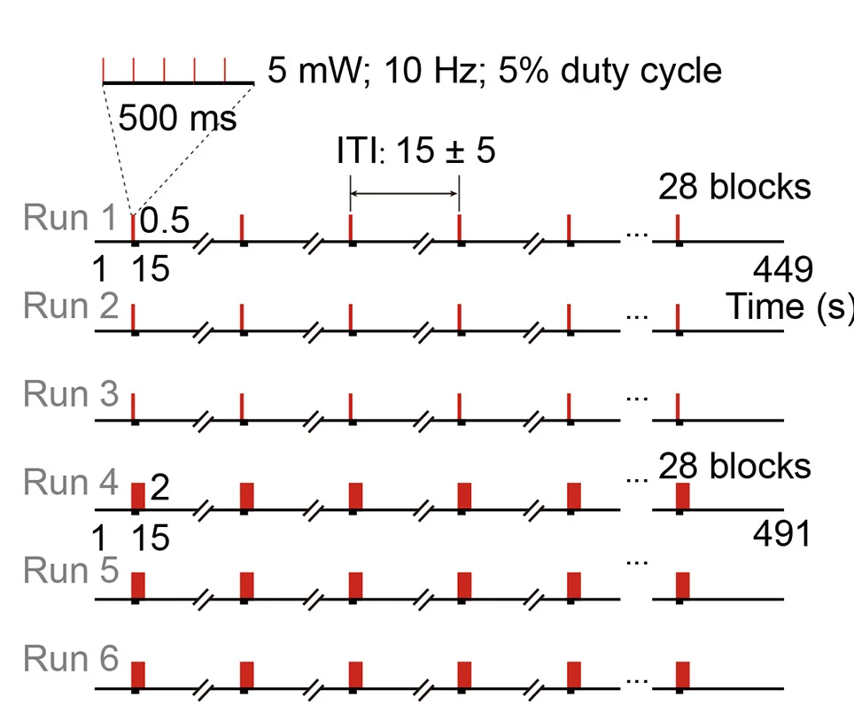 Open access visualization of Line Plot, Optogenetic Stimulation Paradigm