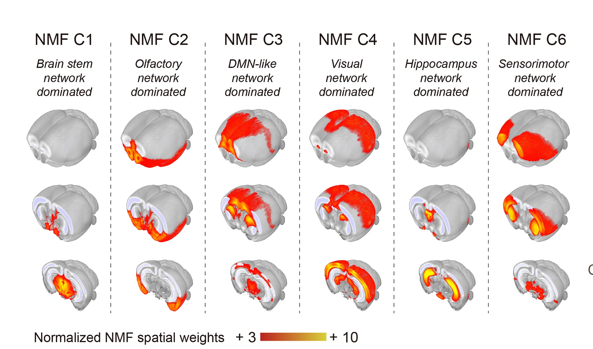 Open access visualization of 3D Plot, Spatial Maps, Structural Networks, NMF Components, 3D View