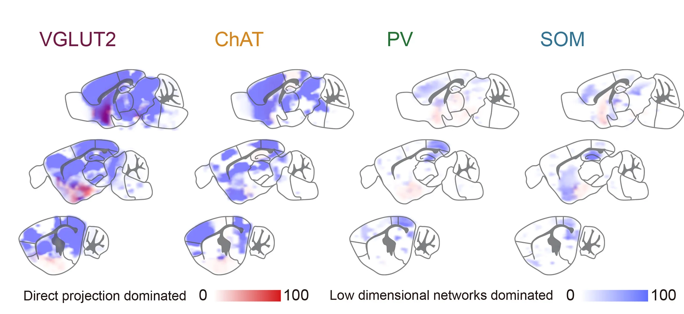 Open access visualization of Heatmap, Spatial Distributions, Explained Variance, Opto-fMRI, Direct Projections