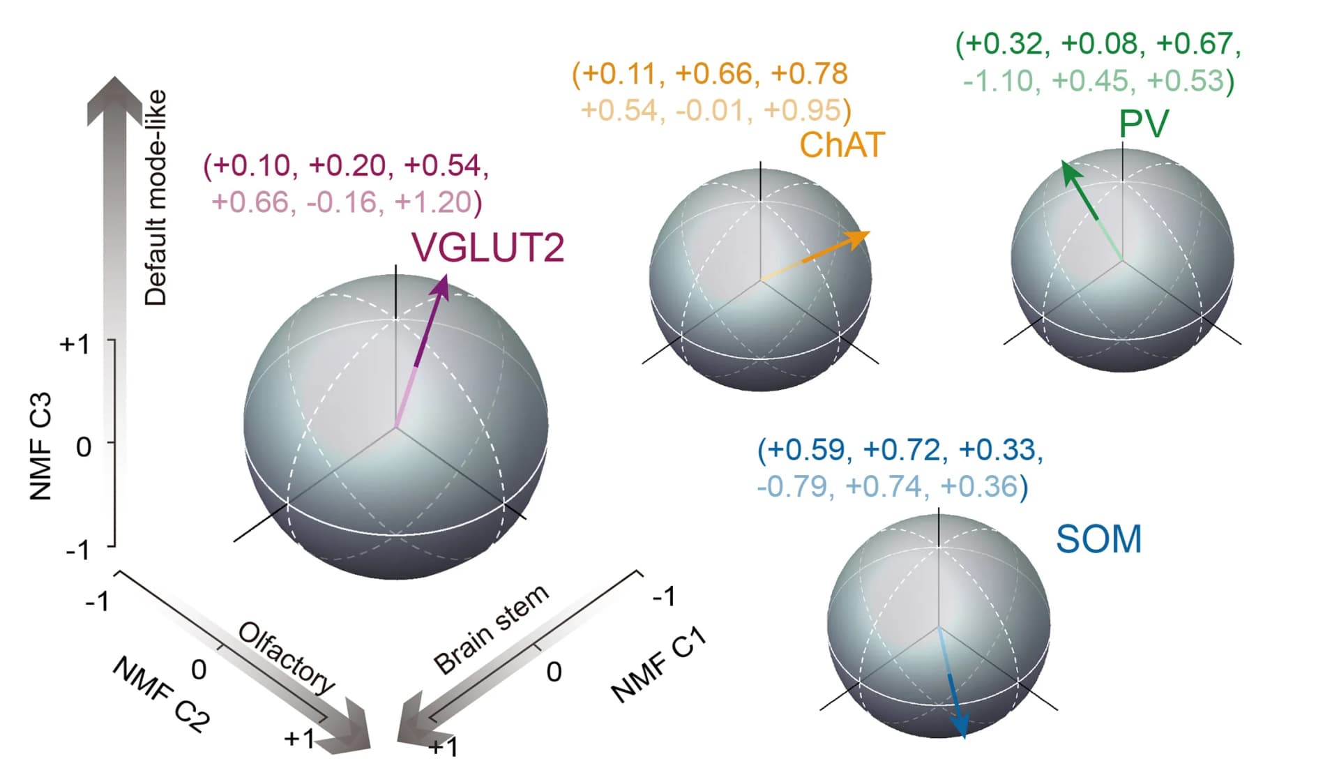 Open access visualization of 3D Plot, Cell-Type Specific, Opto-fMRI Activations, NMF Space, Feature Vector