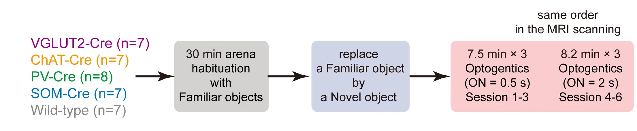 Open access visualization of Workflow, Flowchart, Behavioral Experiments, Optogenetic Stimulation