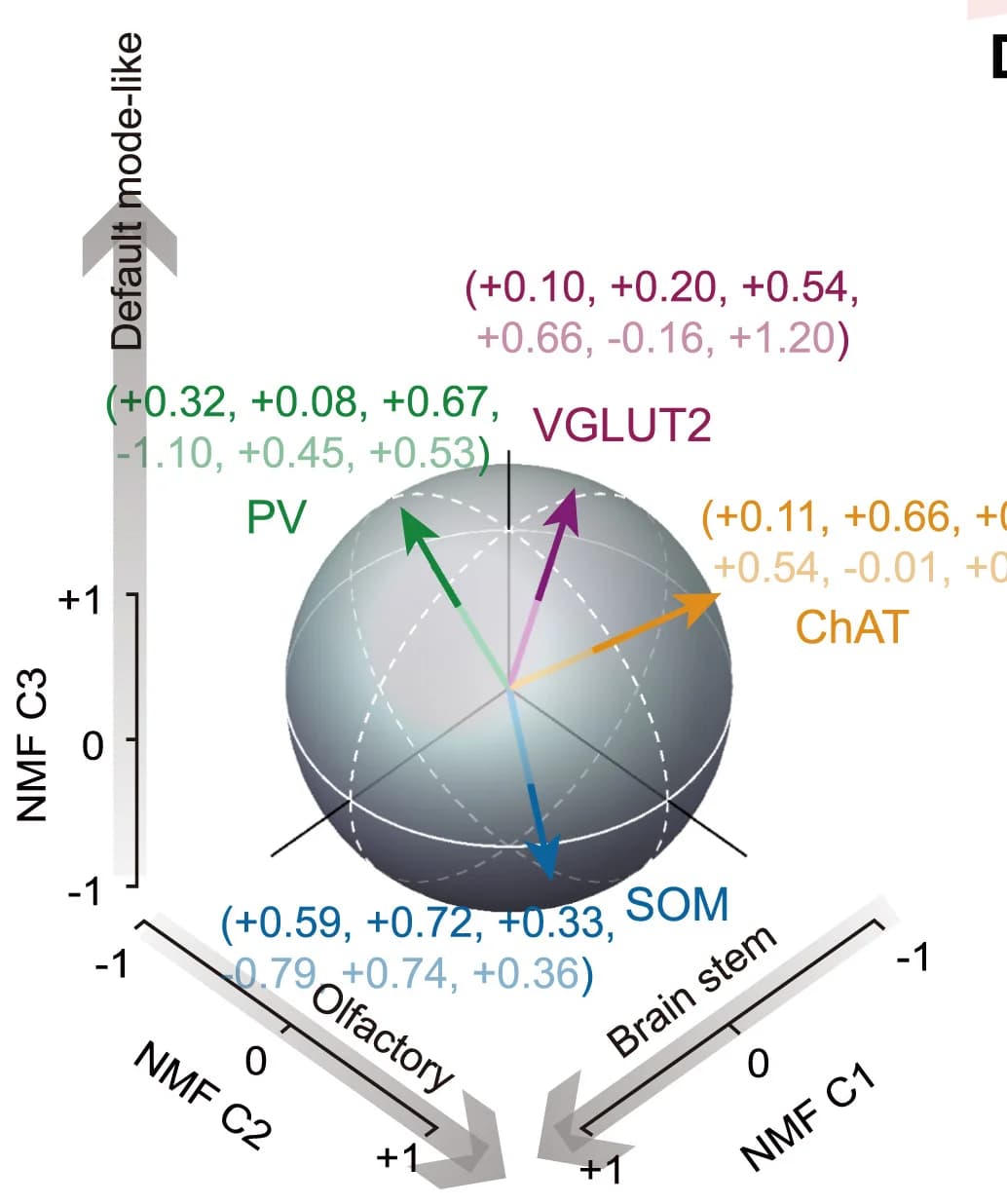 Open access visualization of 3D Plot, Feature Vectors, Cell-Type Specific, BF Modulations, Predicted Behavior