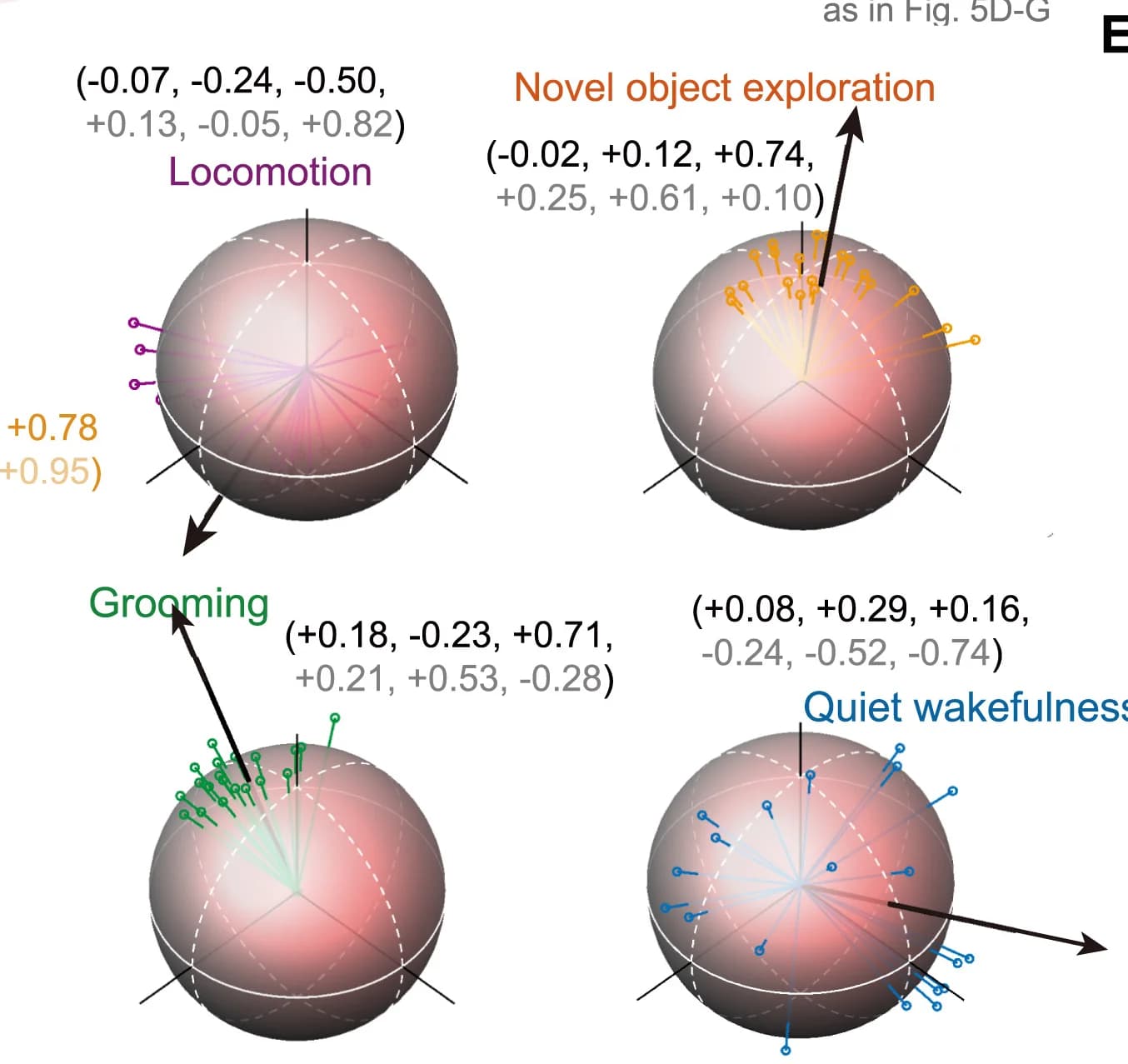 Open access visualization of 3D Plot, Feature Vectors, Predicted Behavior, Cerebral Patterns, Decoding Process