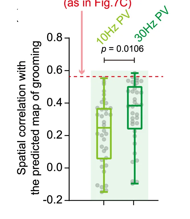 Open access visualization of Box Plot, Scatter Plot, Activation Map, Optogenetics, Neurons