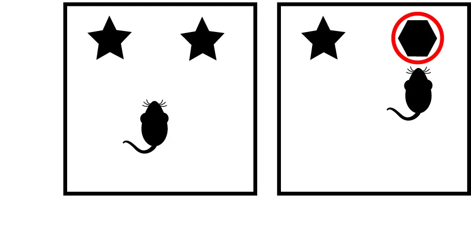 Open access visualization of Illustration, Object Recognition, Task