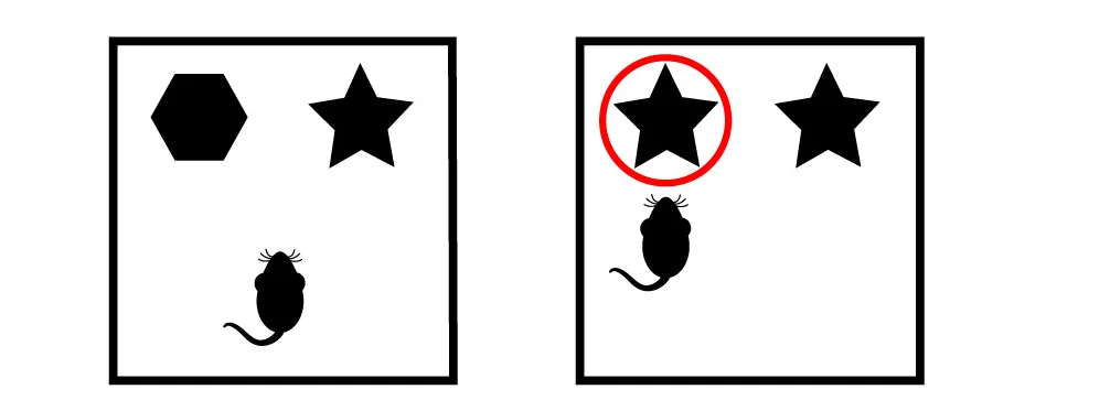 Open access visualization of Illustration, Object-Place Recognition Paradigm