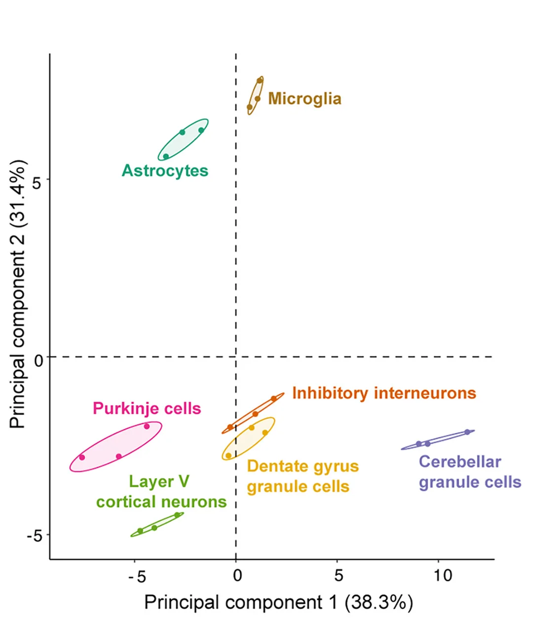 Open access visualization of Scatter Plot, PCA, Translatome, Codon Usage, Cell Type