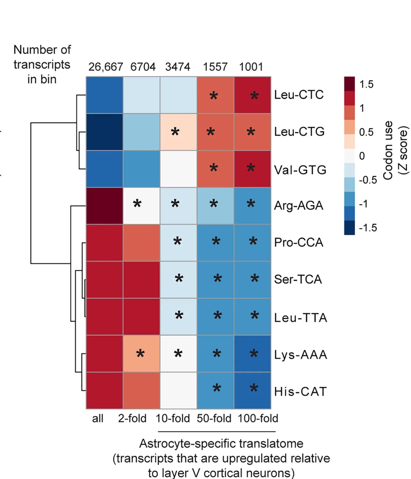 Open access visualization of Heatmap, Clustered, Heatmaps, Z-Scores, Codon Usage