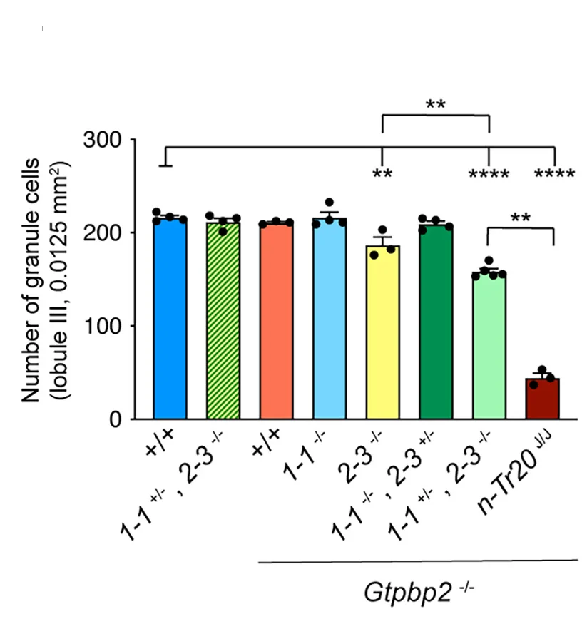 Open access visualization of Bar Plot, Error Bars, Quantification, Mean, SEM