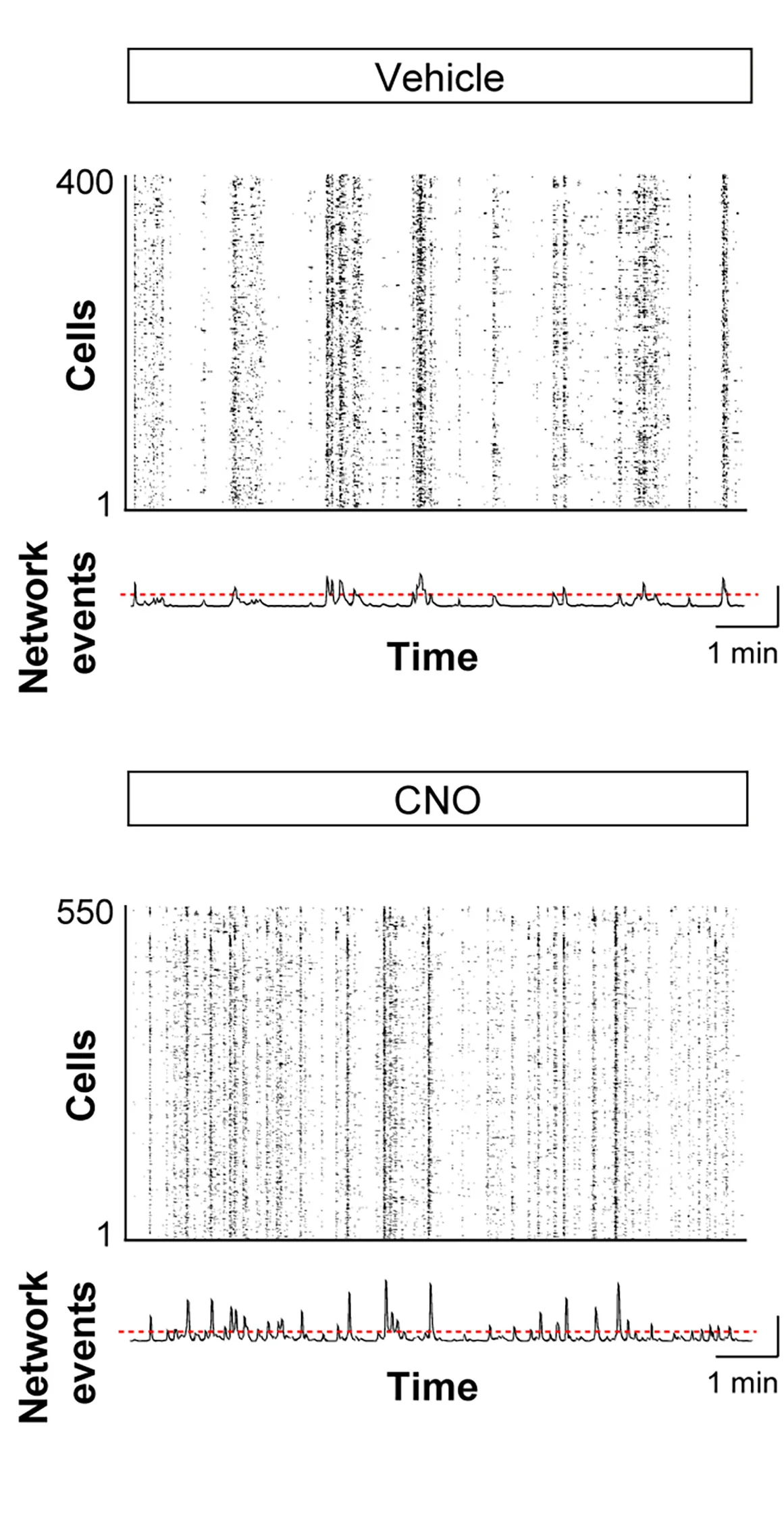 Open access visualization of Scatter Plot, Line Plot, Raster Plots, Calcium Traces, Vehicle-Injected Mice