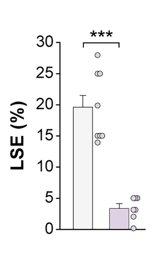 Open access visualization of Bar Plot, Error Bars, Scatter Plot, Large Synchronous Events, LSEs