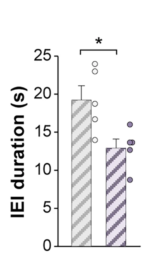 Open access visualization of Bar Plot, Error Bars, Scatter Plot, Inter-event Interval, Vehicle-injected Mice