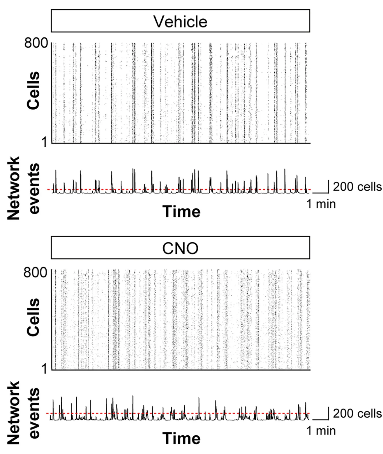 Open access visualization of Line Plot, Scatter Plot, Raster Plots, Calcium Traces, Vehicle-Injected Mice