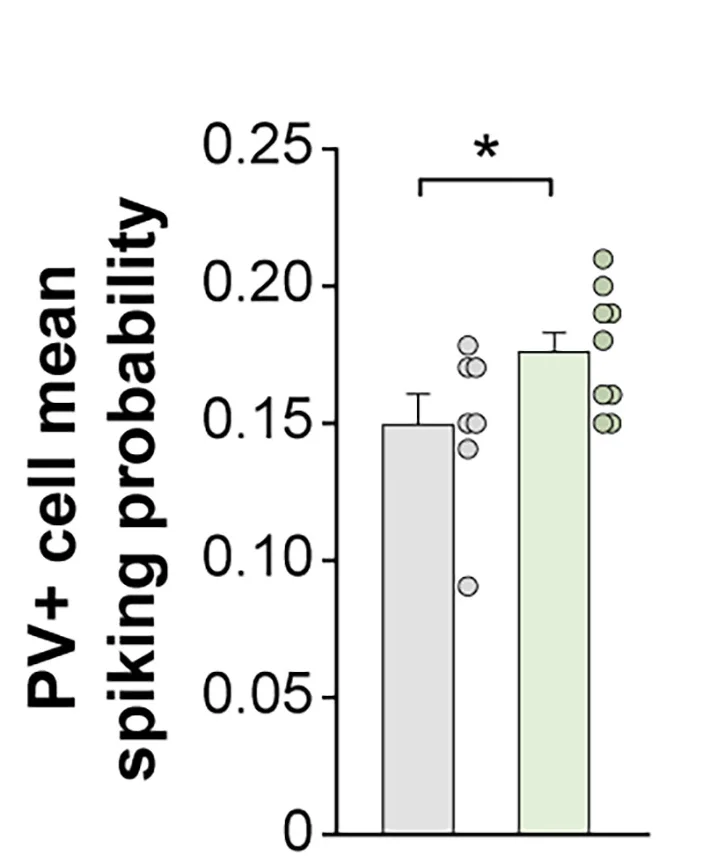 Open access visualization of Bar Plot, Error Bars, Scatter Plot, Mean Spiking Probability, Prospective PV+ Cells