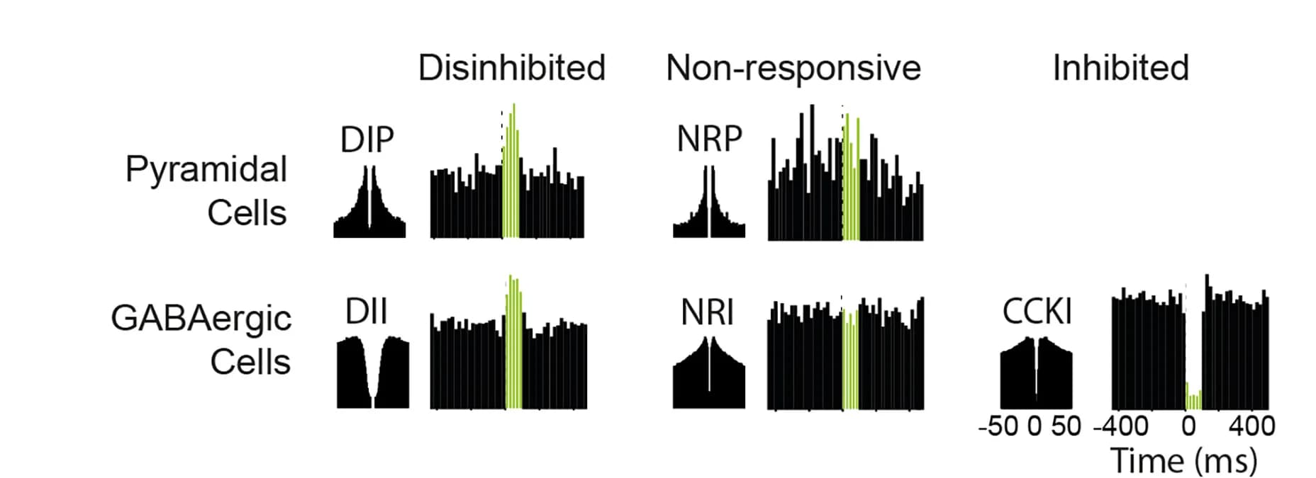 Open access visualization of Histogram, Recorded Cells, Opto-Tagging, Autocorrelograms, Spike Times