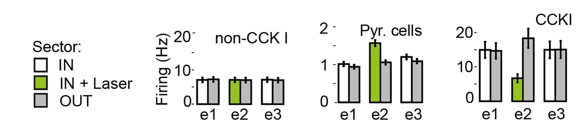 Open access visualization of Bar Plot, Error Bars, Firing Rate, Interneurons, Pyramidal Cells