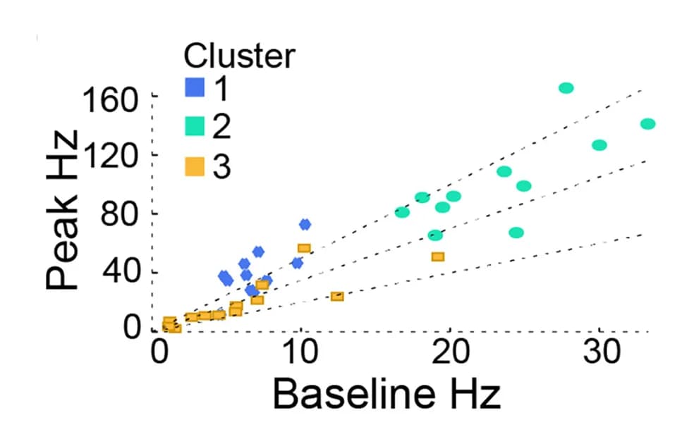 Open access visualization of Scatter Plot, Regression Plot, Firing Rate, CCKI Cluster, SWRs