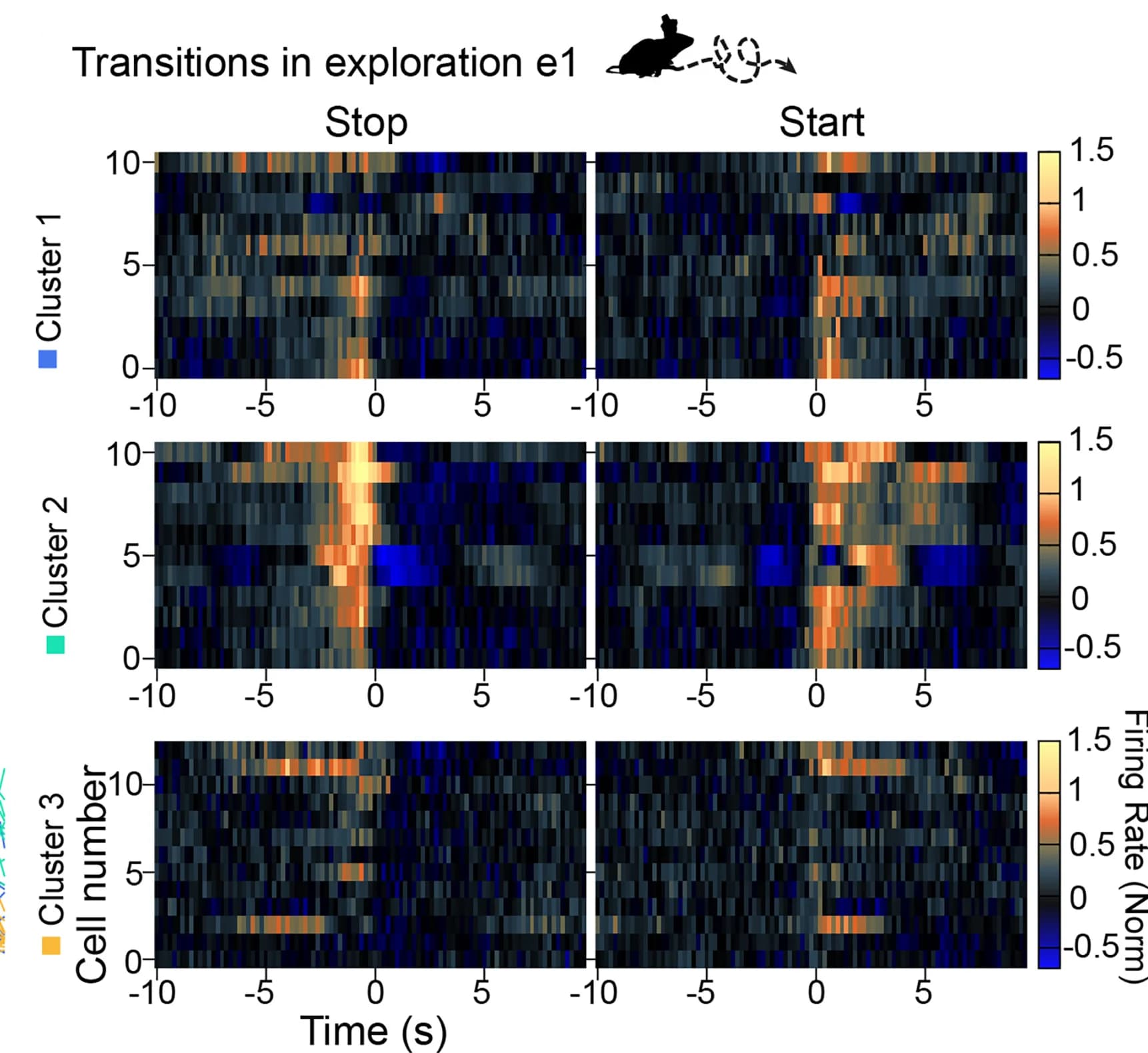 Open access visualization of Heatmap, Firing Rates, CCKI Cluster, Acceleration, Deceleration
