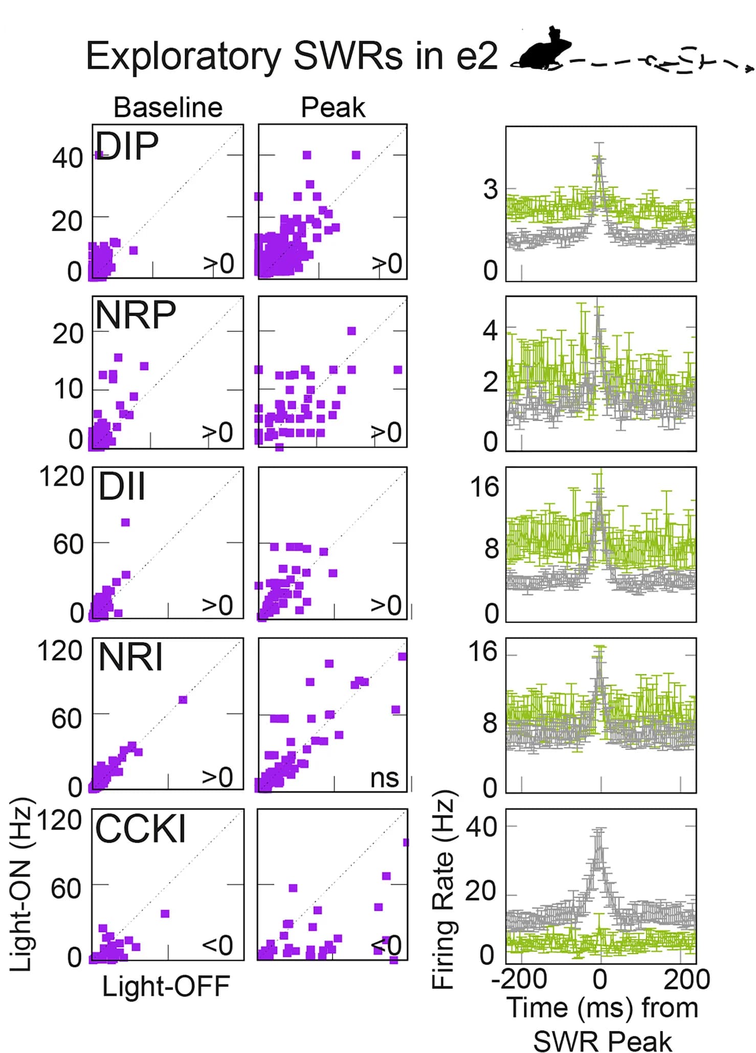 Open access visualization of Scatter Plot, Line Plot, Error Bars, SWR, Neuronal Activity