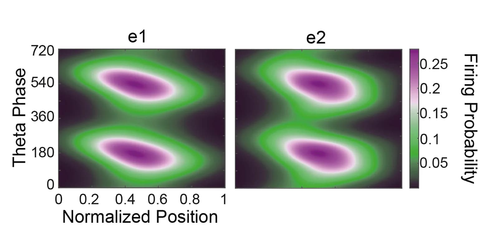 Open access visualization of Heatmap, Firing Probability, Exploration Sessions, Theta Cycles, Theta Phase Precession