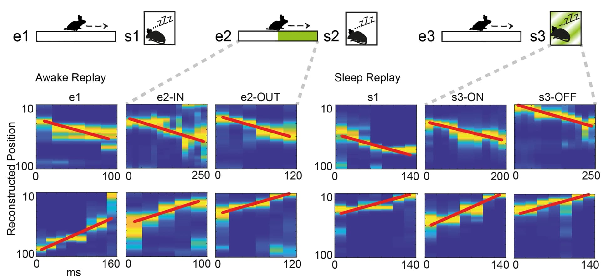 Open access visualization of Heatmap, Line Plot, Linear Track, Sleep Periods, Reactivation Analysis