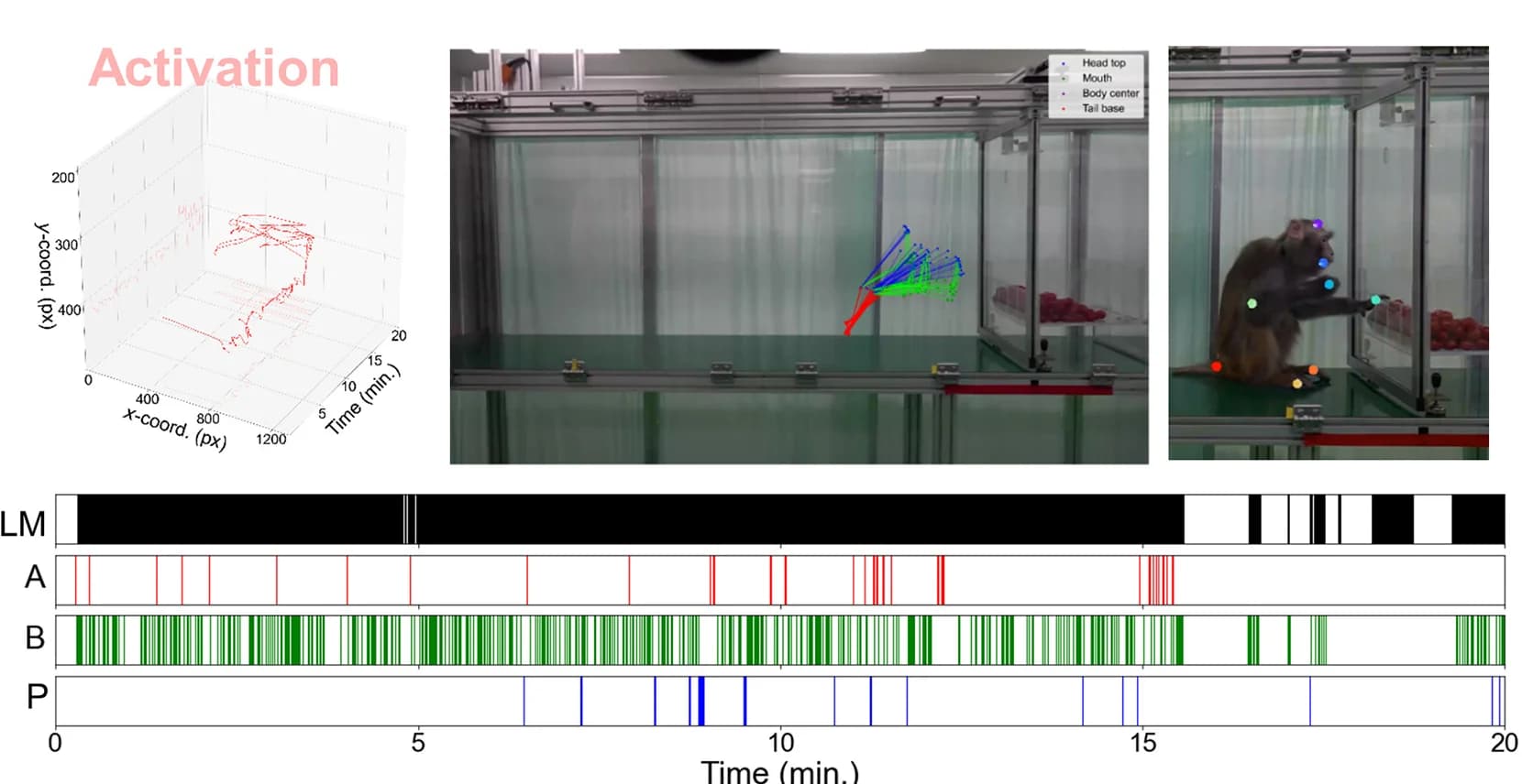 Open access visualization of 3D Plot, Line Plot, Photo, Behavior Temporal Dynamics Analysis, LHAGABAneuron Activation