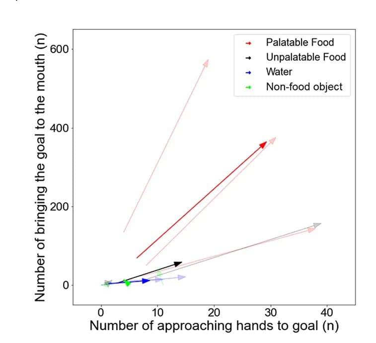 Open access visualization of Scatter Plot, 2D Plot, Approaching Hands to Goal Events, Bringing Goal to Mouse Events, Experimental Stimuli