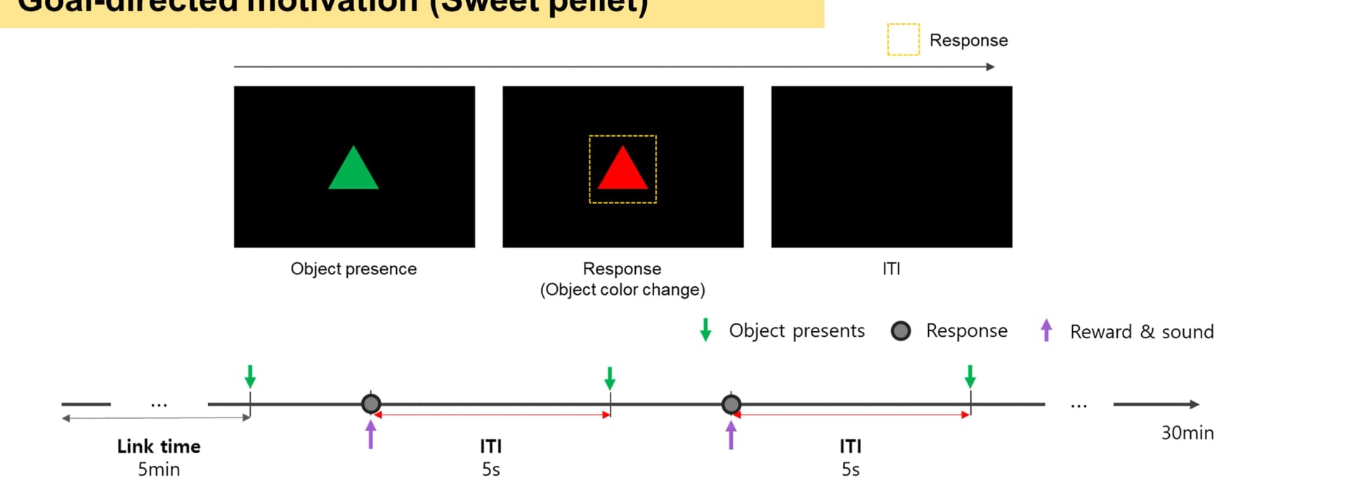 Open access visualization of Workflow, Illustration, Operant Conditioning, Fixed Ratio 1, Monkey