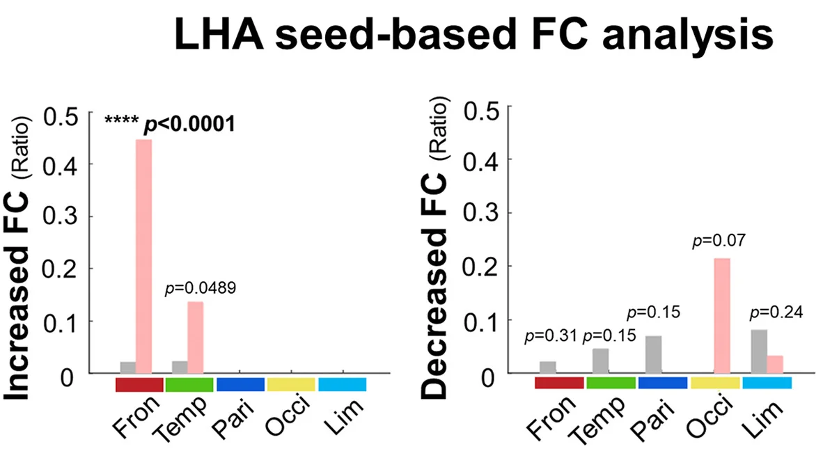 Open access visualization of Bar Plot, LHA Seed-Based FC Analysis, Increased FC, Decreased FC, Frontal Cortex