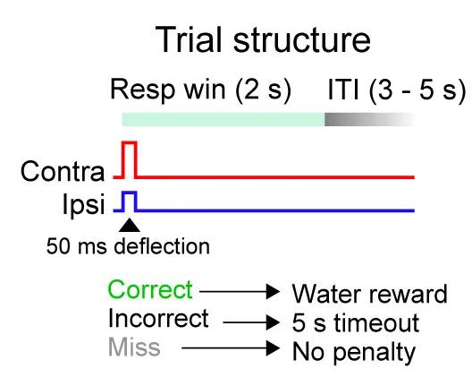Open access visualization of Workflow, Flowchart, Trial Structure, Trial Outcome