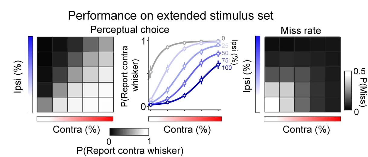 Open access visualization of Line Plot, Error Bars, Heatmap, Matrix Stimulus Sessions, Behavioral Data