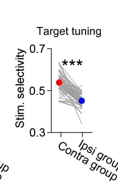 Open access visualization of Line Plot, Stimulus selectivity, Target groups, Quantification