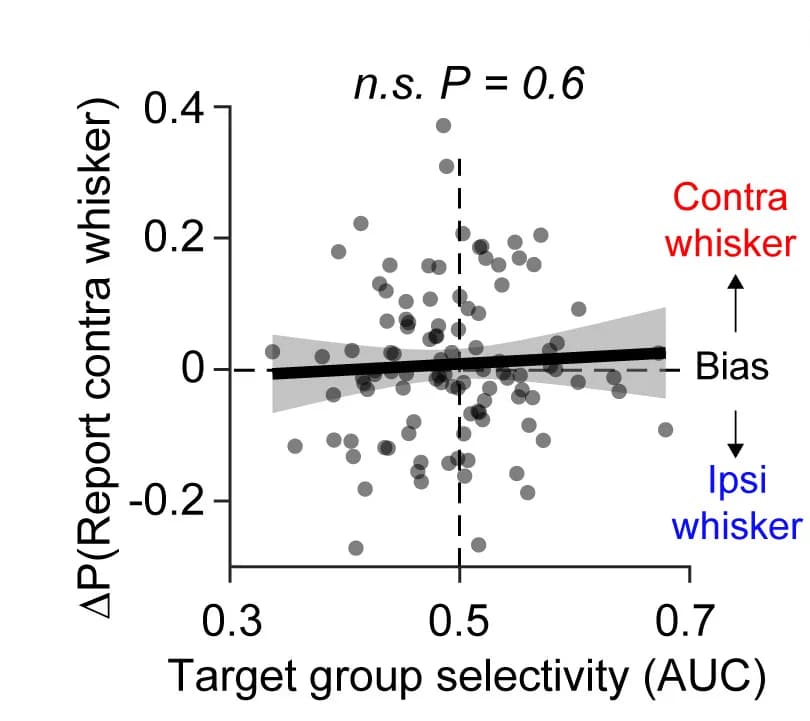 Open access visualization of Scatter Plot, Regression Plot, Perceptual Bias, Whisker Selectivity
