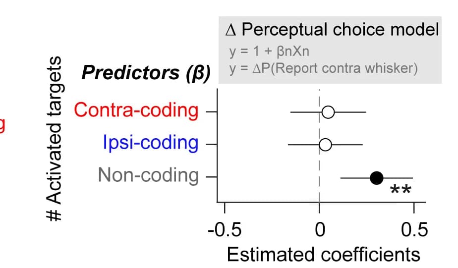 Open access visualization of Forest Plot, Error Bars, Multiple Linear Regression, Stimulus-coding Neurons, Non-coding Neurons