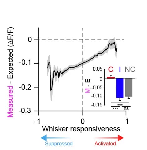 Open access visualization of Line Plot, Error Bars, Bar Plot, Combined Stimuli, Target Neurons