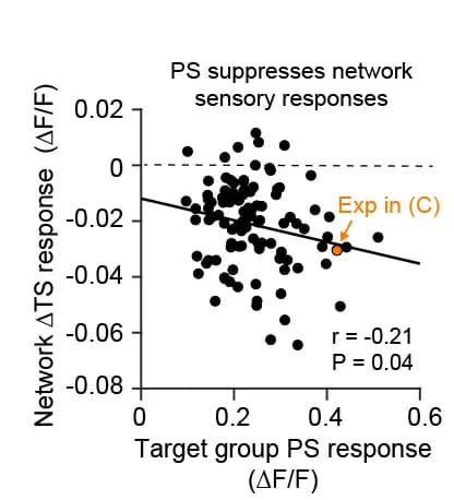 Open access visualization of Scatter Plot, Regression Plot, Threshold Stimulus Responses, Network Neurons, Photostimulation Responses