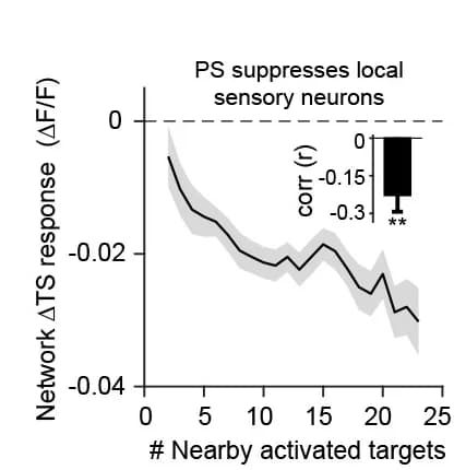 Open access visualization of Line Plot, Error Bars, Bar Plot, Photostimulation Responses, Threshold Stimulus Responses